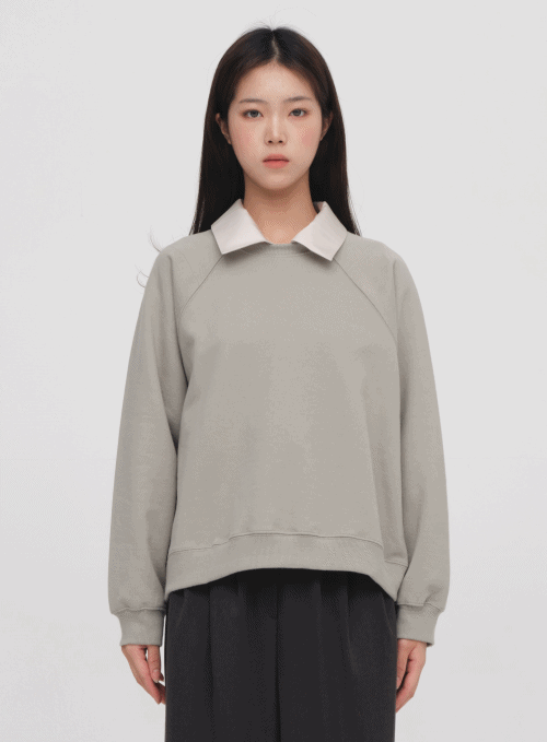 Pale Sweatshirt