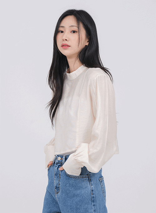 Silky Crop Blouse U1502