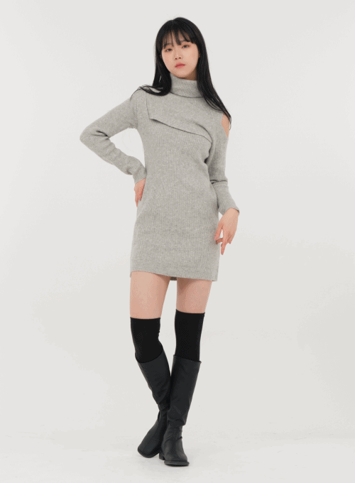 Turtleneck Mini Knit Dress