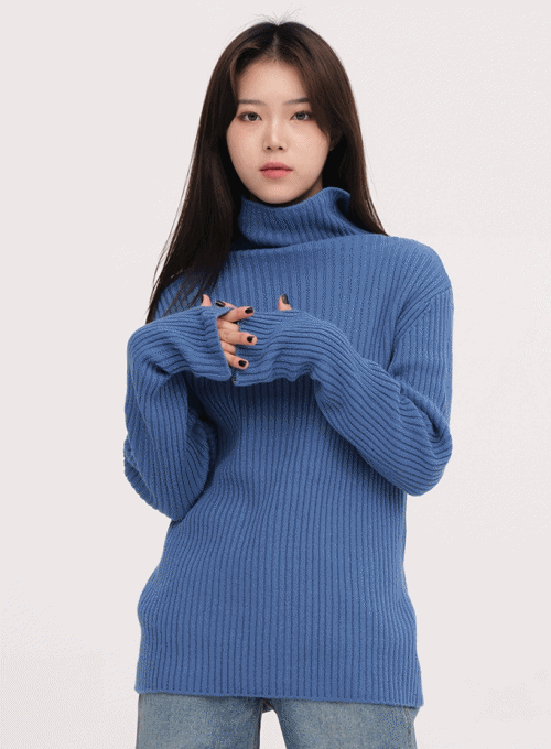 Knit Turtleneck