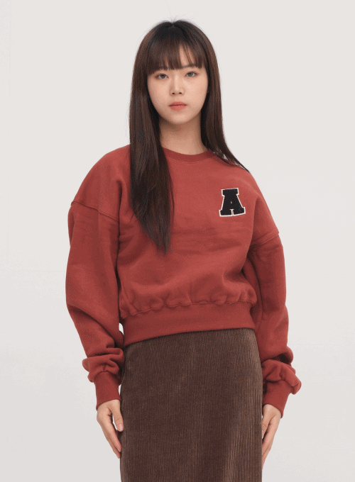 Short Sweatshirt