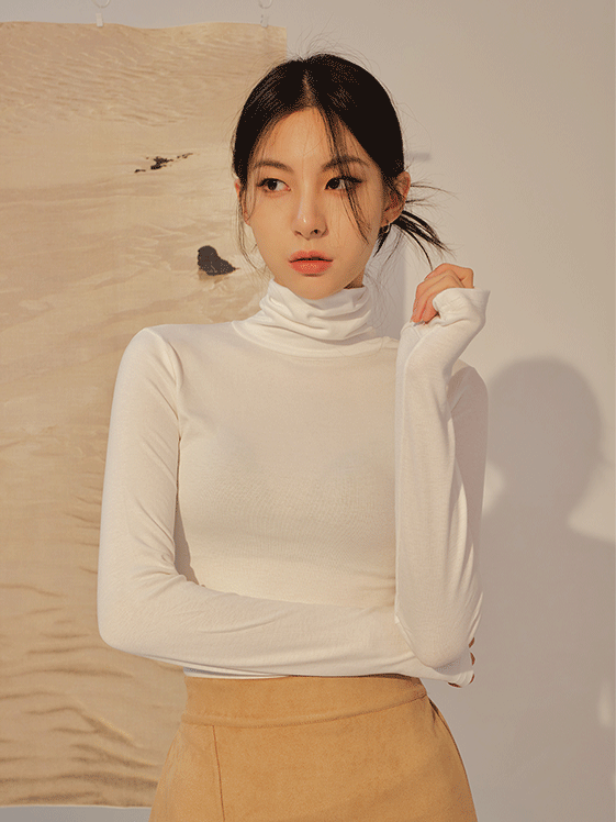 Long Sleeve Turtleneck Top F14