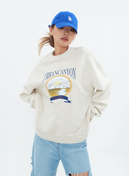Sweatshirt with Cannon Print CM18