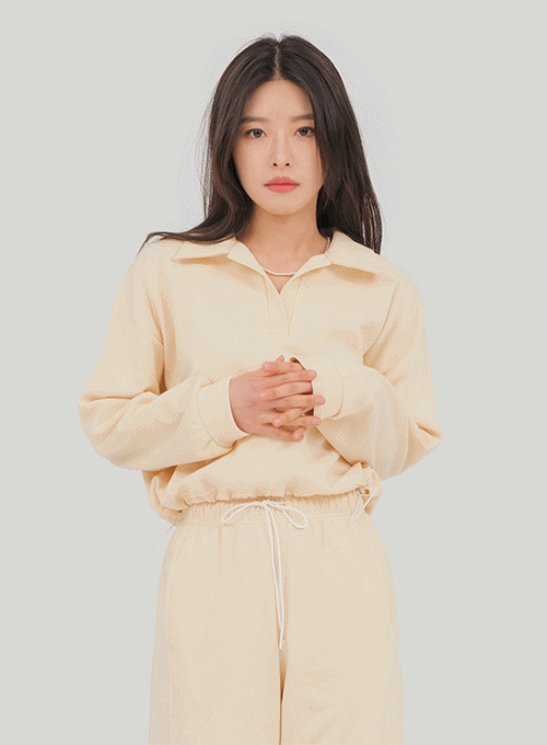 V Neck Cropped Sweatshirt U2202