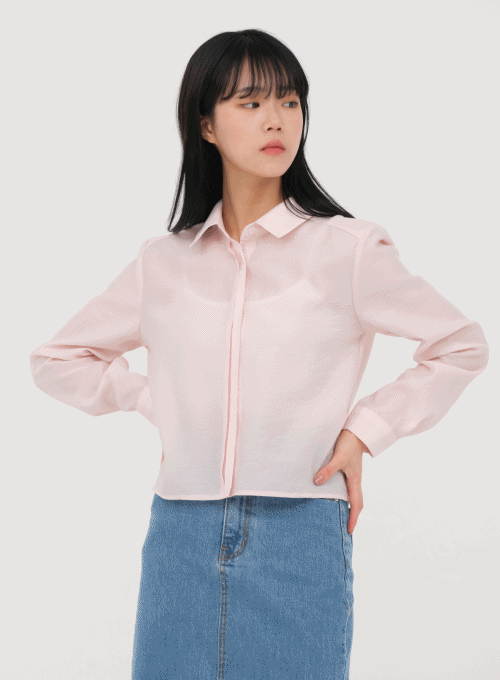 Sheer Crop Shirt