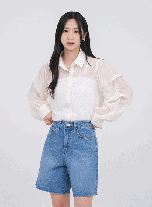 Chiffon Blouse F24