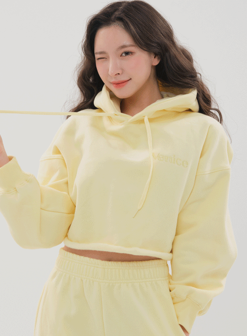Fleece Lined Cropped Hoodie BS-B04012001