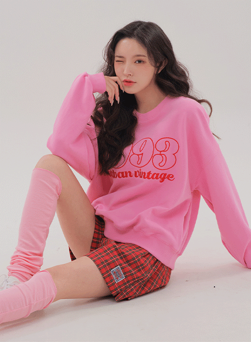 1993 Sweatshirt B2202