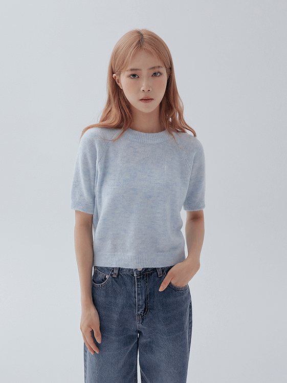 Crew Neck Short Sleeve Knit Top F17